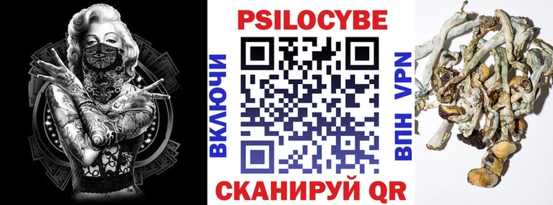 hydra ссылки  Вуктыл  Галлюциногенные грибы Magic Shrooms 
